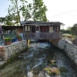 Tropikal Freskia Bunec